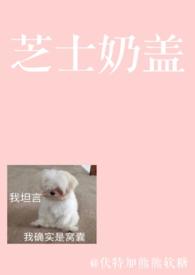 芝士奶盖奶茶