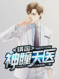 镇国神瞳天医txt