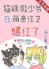 假猫儿是什么意思