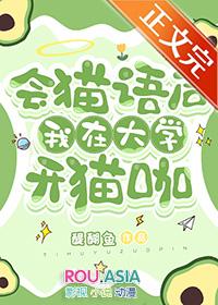会猫语后我在大学开猫咖晋江