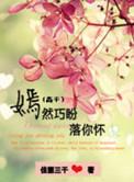 嫣然巧盼落你怀全文TXT