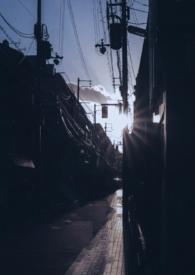 你是我的曙光 余袅袅