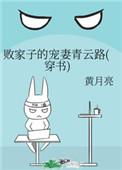 败家子的宠妻青云路(穿书)笔趣阁最新