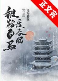 银鞍白马度春风txt番外