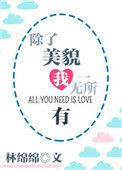 除了美貌我一无所有全文免费
