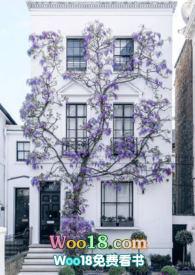 快雪时晴何叶陆湛是一个人吗