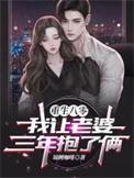 重生八零我让老婆三年抱了俩全集阅读