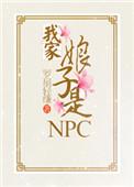 我家娘子是npc作者罗扇轻缣