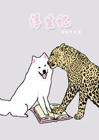 浮生记云南顶呱呱完整版歌曲