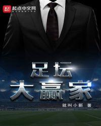 足坛大赢家全文免费阅读