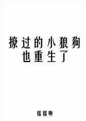 撩过的小狼狗也重生了讲什么的
