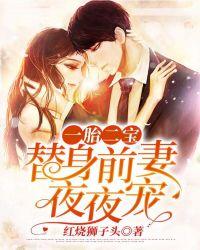 一胎双宝替孕宠妻