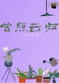 曾照云归全文阅读一只西飞雁