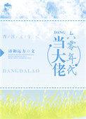 六零年代当大佬作者诗和远方