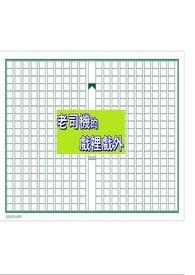 老司机另一种意思