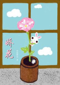 娇花令免费阅读