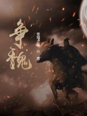 争魏全文免费阅读无弹窗