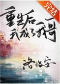 重生后我成了我哥洛临安