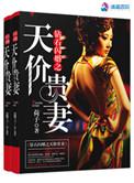 钻石闪婚之阔少溺宠妻免费阅读
