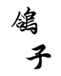 鸽子血