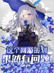 这个网络游戏
