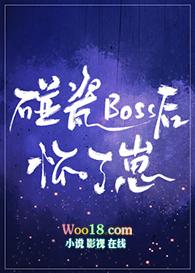 碰瓷boss后怀了崽TXT