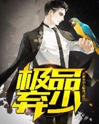 极品弃少秦风