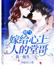 我一胎生三宝精校版