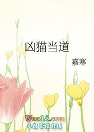 凶猫当道 寒嘉