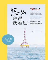怎么舍得我难过是什么歌