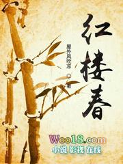 红楼春梦第十七回原文