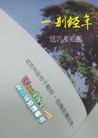 一别经年by初见成欢