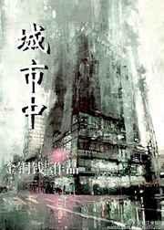 城市zs
