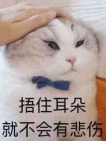 恶毒炮灰向导只想退婚第7章