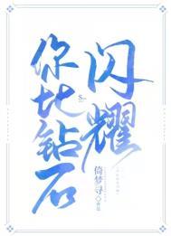你比钻石闪耀 番外