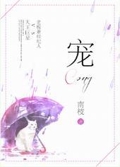 宠物情人