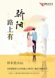 路上有阳光的图片