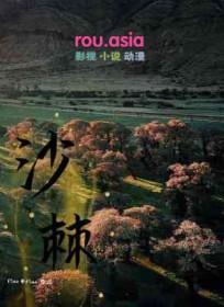 沙棘果子图片