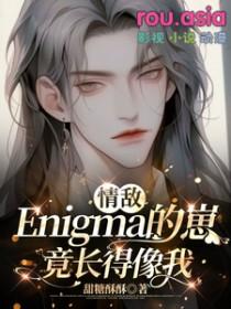 情敌Enigma的崽竟长得像我晋江