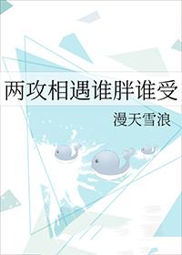两攻相遇谁胖谁受作者漫天雪浪推文