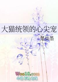 大猫统领的心尖宠gl资源链接