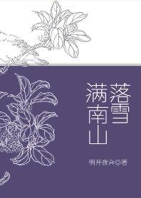 落雪满南山阅读