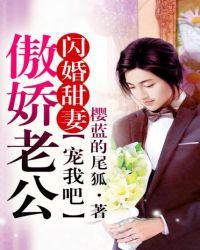 闪婚甜妻老公太霸道