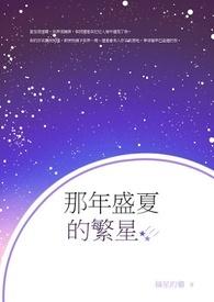 那年盛夏什么意思
