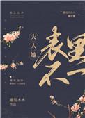 夫人她表里不一全集观看