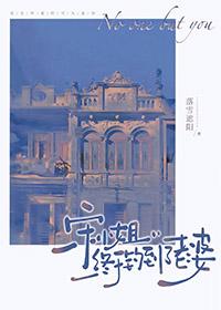 宋小姐的图片