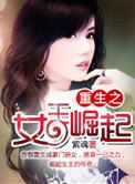 重生之女王崛起pdf