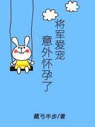 将军爱宠意外怀孕了 星际