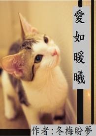 爱如暖阳作文
