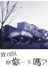 书名我可以抱你吗